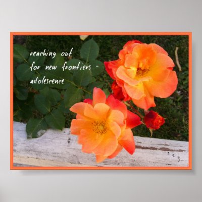 Adolescence Haiku Art Print by Reflekshins
