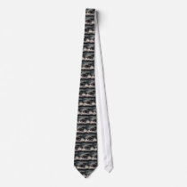 Adolf Schreyer Wallachian Blizzard Ties