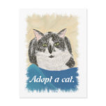 Adopt a cat promotion products post cards