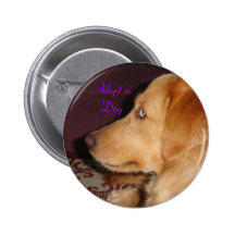 Adopt a Dog Button