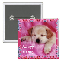 Adopt a Dog Button