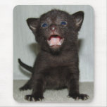 Adopt a Feline Friend Mousepad