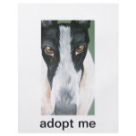 Adopt a greyhound full color flyer