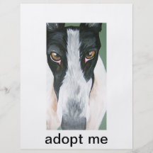 Adopt a greyhound full color flyer