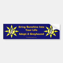Adopt A Greyhound Sunshine In Life Bumper Sticker