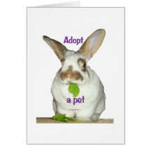Adopt a pet card