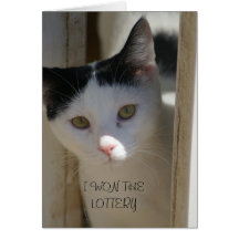 Adopt a Pet card