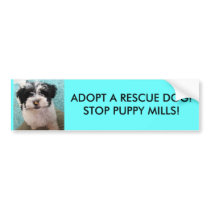 ADOPT A RESCUE DOG!STOP PUPPY MILLS! BUMPER STICKERS