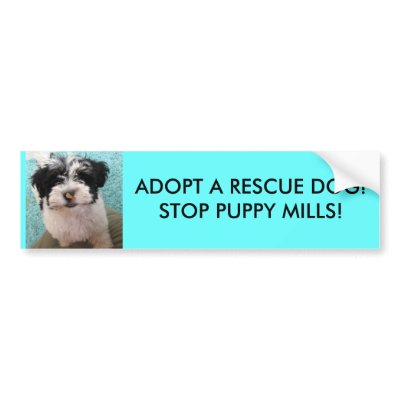 ADOPT A RESCUE DOG!STOP PUPPY MILLS! BUMPER STICKERS by patsarts