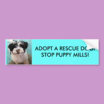 ADOPT A RESCUE DOG!STOP PUPPY MILLS! bumper stickers
