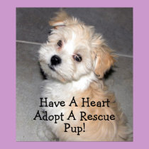 Adopt A Rescue Pup! posters