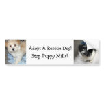 Adopt A Resuce Dog - Havanese Puppies Bumper Sticker