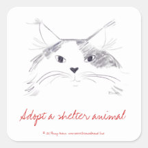 Adopt a shelter animal square sticker