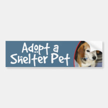Adopt a Shelter Pet Beagle Photo Bumper Stickers
