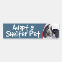 Adopt a Shelter Pet Bluetick Coonhound Bumper Stickers