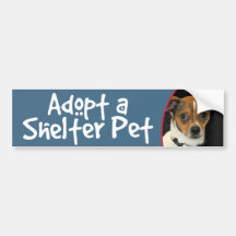 Adopt a Shelter Pet Chihuahua Mix Bumper Stickers