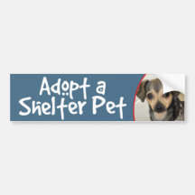 Adopt a Shelter Pet Chihuahua Mix Bumper Stickers