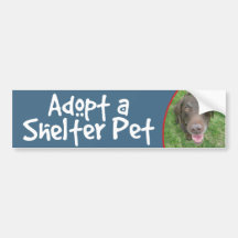 Adopt a Shelter Pet Chocolate Lab Bumper Sticker
