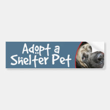 Adopt a Shelter Pet English Mastiff Bumper Stickers