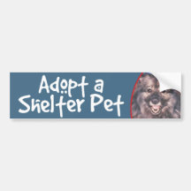 Adopt a Shelter Pet Keeshond Bumper Sticker