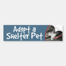 Adopt a Shelter Pet Labrador Retriever Mix Bumper Sticker