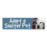 Adopt a Shelter Pet Mastiff-Bulldog Mix Bumper Stickers