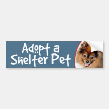 Adopt a Shelter Pet Pomeranian Bumper Sticker