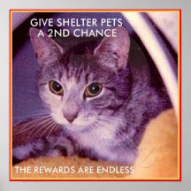 ADOPT A SHELTER PET POSTER