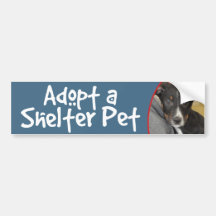 Adopt a Shelter Pet Rhodesian Ridgeback Mix Bumper Sticker