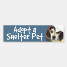 Adopt a Shelter Pet Sad Beagle Bumper Sticker