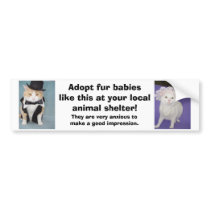 Adopt fur babies like this at your local shelter. bumper stickers