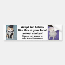 Adopt fur babies like this at your local shelter. bumper stickers