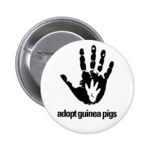 Adopt Guinea Pigs Button - Guinea Pig Today