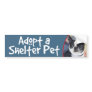 Adopt Shelter Pet-Boston Terrier Bumper Sticker
