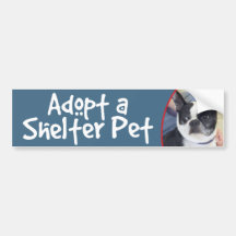 Adopt Shelter Pet-Boston Terrier Bumper Sticker