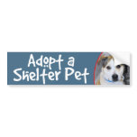 Adopt Shelter Pet-Pitbull/Yellow Lab BumperSticker Bumper Sticker