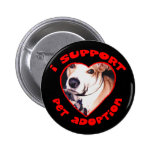 Adoption de pitbull badge
