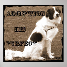 Adoption is Pyrfect-Jasper Poster