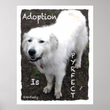 Adoption is Pyrfect-Sampsonss Print