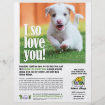 Adoption Poster - Little Rock Animal Village Flyer Design