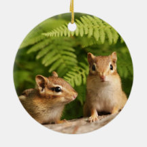Adorable Baby Chipmunk Siblings Ornament