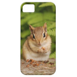 Adorable Baby Chipmunk with Snack iPhone 5 Cover