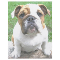 adorable bulldog puppy custom flyer