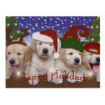 Adorable Christmas Labrador Puppies! Post Card