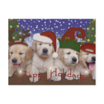 Adorable Christmas Labrador Puppies! Post Card