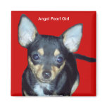 Adorable Cute Baby Chihuahua Angel Pearl Girl magnets