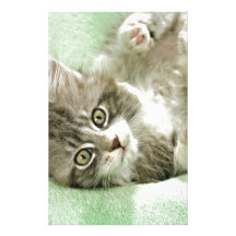 Adorable Cute Grey Tabby Kitten Paw Play Tapping Custom Stationery