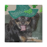 Adorable Cute Lisa Marie Chihuahua magnets
