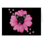 Adorable Cute Sly Heaven Chihuahua Card