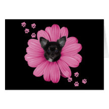 Adorable Cute Sly Heaven Chihuahua Card